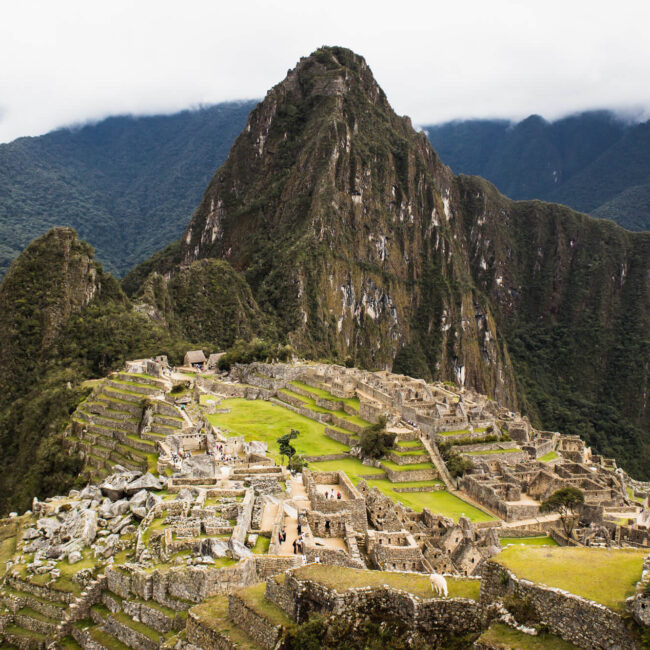 Exhibitions 5 exhibition 11