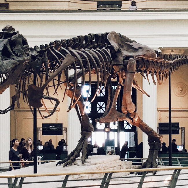 exhibition gallery item 8