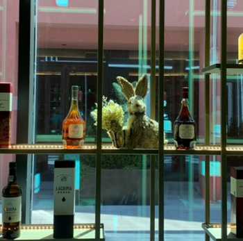 Páscoa 2022 – Museu da 1ª Demarcação 10 image 65