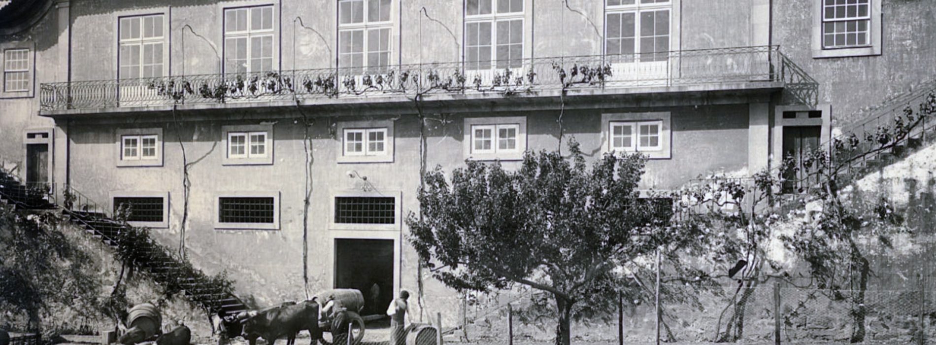 Fotografia – Casa da Companhia, Régua 1 Junho Casa da Companhia Regua foto destaque